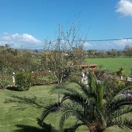 Aggeliki Amaliada